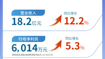 新里程（002219）发布2024年半年报：营业收入及扣非归母净利润均实现双位数增长